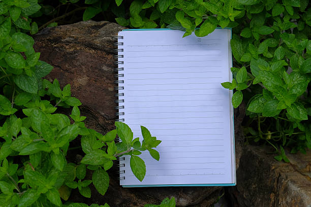 istock Book note on the field on sunny day in spring. 2219485877