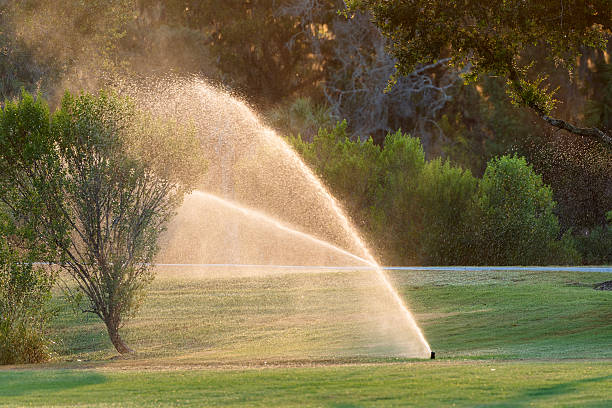 istock Lawn grass watering with automated sprinkler irrigation system 2219488820