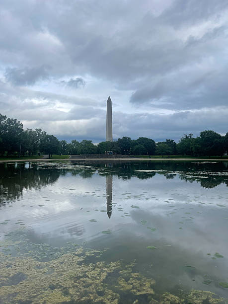istock Washington Monument in Washington D.C. 2219489226