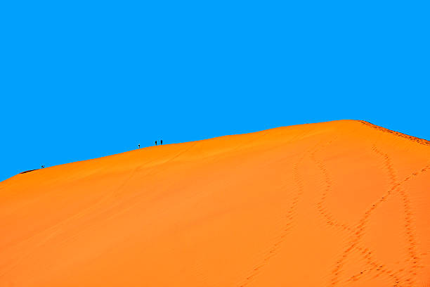 The top of striking sand dune in Sossusvlei, Namib desert, with vivid orange tones under a clear blue sky. Namibia
