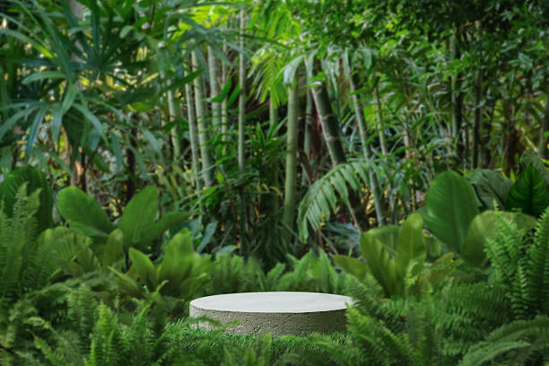 istock minimal concrete podium table top with outdoors in tropical forest nature background.natural product pedestal modern stand display,jungle paradise concept. 2219491890