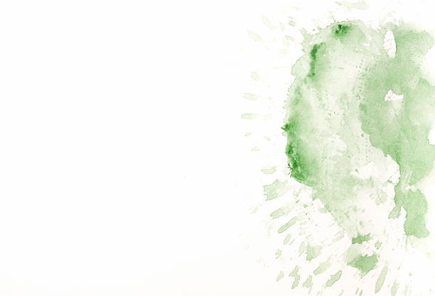 Watercolor texture. Abstract Green Painting isolated on white background. Template. Copy space. Card mockup.