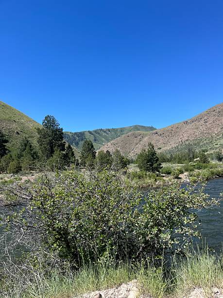 istock Lucky Peak Lake in Boise 2219492783