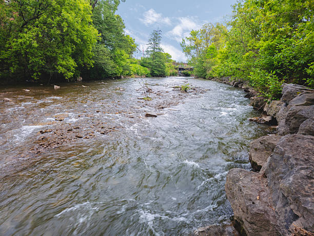 istock Landscape of Sauquoit Creek 2219493305