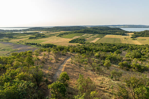 View from a hilltop on the Tihany Peninsula in Hungary, showing a patchwork of forested terrain and distant blue water of Lake Balaton under the warm light of sunrise.