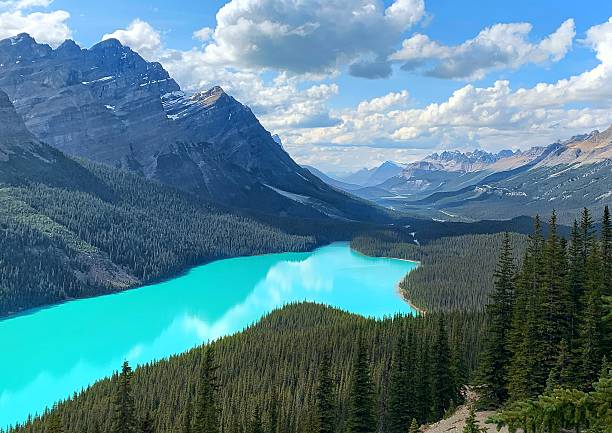 istock Peyto Lake 2219494209