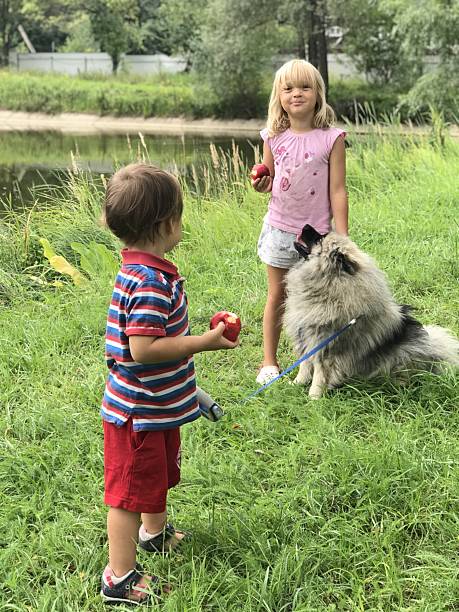 istock Children Enjoying a Day Outdoors with Dog and Apples 2219498472