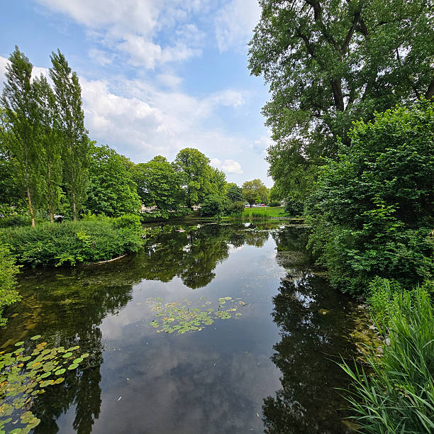 istock Enjoy a serene lakeside view with lush greenery and a reflective water surface, embracing nature Maschpark Hannover 2219500454