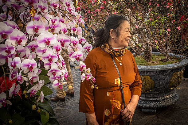 A elderly Vietnamese women dressed in Ao Dai poses for photos next to flowers at lunar new year (Tet), Tran Quoc Pagoda, Hanoi, Vietnam