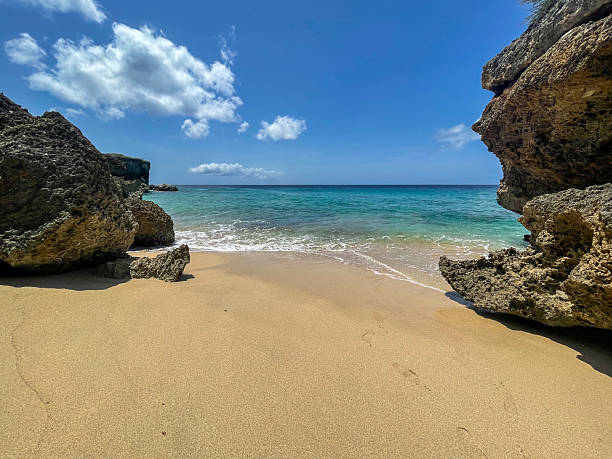 istock Playa Gipy in Curacao 2219504856
