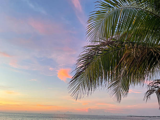 istock Resort Beach in Evening Sunset 2219505042