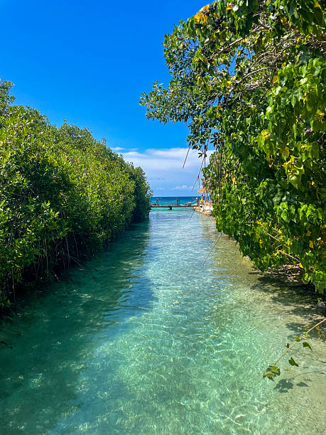 Renaissance Island in Aruba