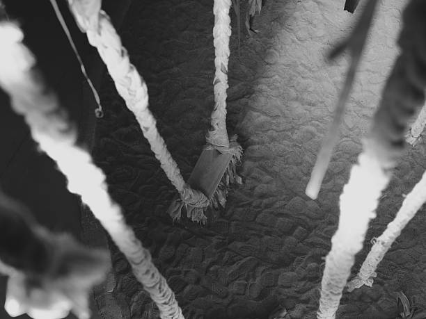 A striking black and white photographic image that showcases textured elements combined with an atmospheric composition