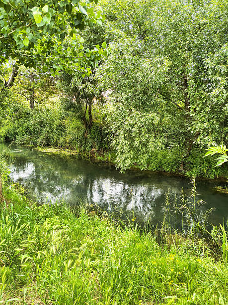 istock Serene river flows through lush greenery, reflecting the surrounding trees. Evokes peace and tranquility. Ideal for nature, relaxation, or environmental themes. 2219512899