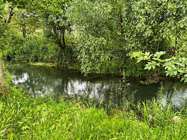 istock Serene waters flow amidst lush greenery. A tranquil scene perfect for conveying peace, nature, and escapes. Ideal for travel blogs, environmental awareness, and relaxation. 2219512909