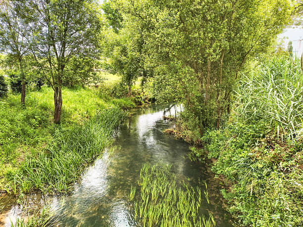 istock Tranquil river flows through lush greenery. Serene nature scene ideal for themes of peace, environment, travel, or healthy lifestyle concepts. Use for backgrounds, ads, or editorials. 2219512914