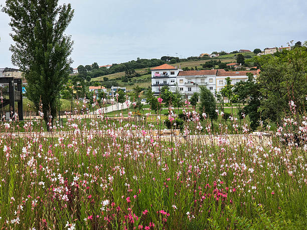 Lush garden scene featuring delicate pink  white flowers blooming beneath a cloudy sky. Serene atmosphere. Great for nature, travel, or wellbeing themed projects.