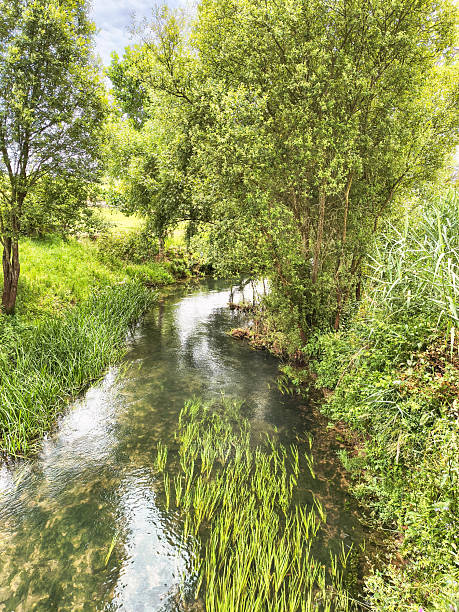 istock A serene stream flows through lush greenery. Ideal for representing tranquility, nature, and environmental conservation. Suitable for travel, ecotourism  wellness content. 2219513000