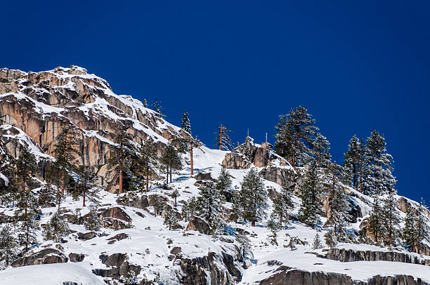 istock Snow capped trees in Yosemite 2219515698
