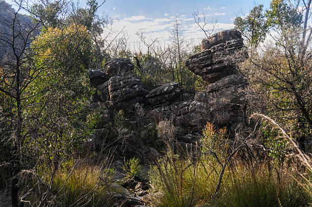 Outdoor scene showing highlighting the stunning beauty of the grampians mountain range in Victoria, Australia