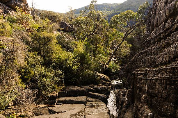 Outdoor scene showing highlighting the stunning beauty of the grampians mountain range in Victoria, Australia
