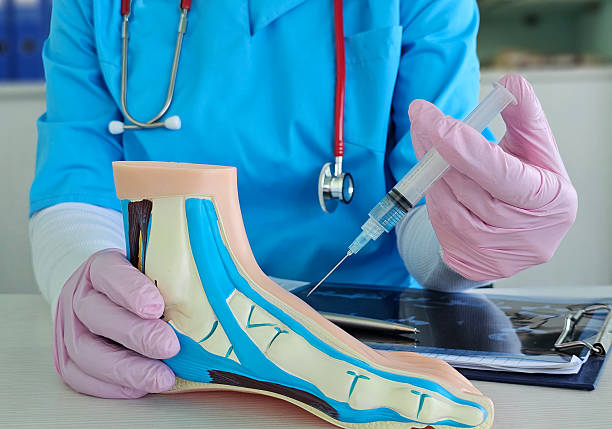 istock Medical professional demonstrating foot injection technique using anatomical model 2219519210