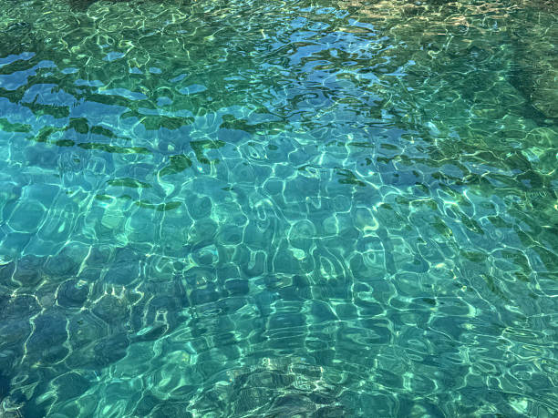 istock Beautiful sea water clear turquoise surface. 2219523446
