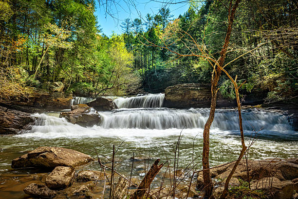 istock Potters Falls in Tennessee 2219526865