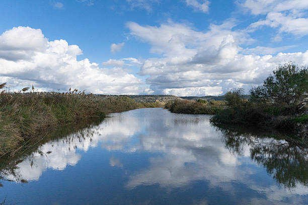 istock A Stream Flowing Calmly and Reflecting the Sky 2219527436