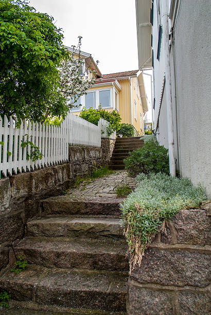 istock Stone steps between cozy garden homes.. 2219530523