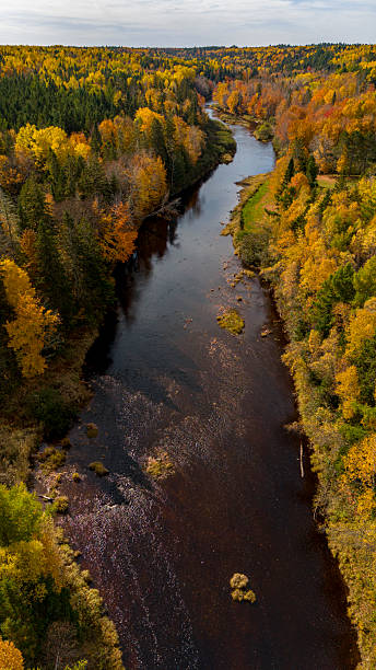 istock River and Autumn Colours 2219533522
