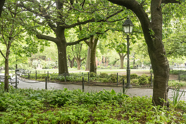 istock Sidewalk with Trees in Washington Square Park NYC 2219537563