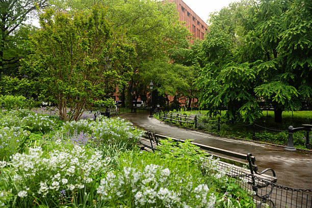 This is a photograph of a sidewalk surrounded with green landscaping and trees in Washington Square Park in New York City on a rainy spring day.