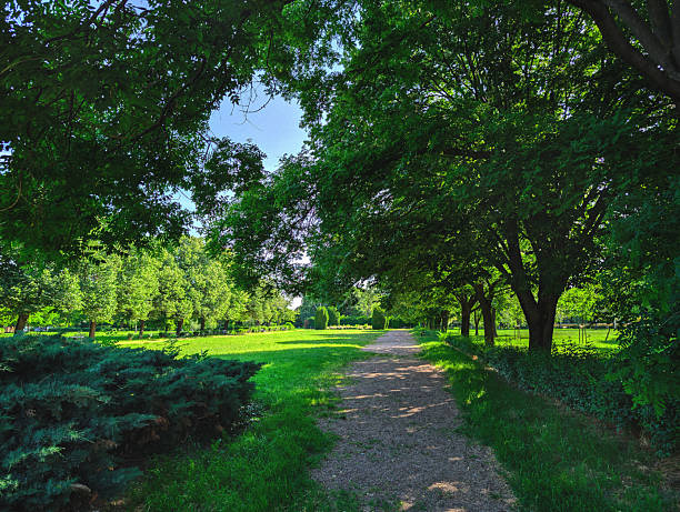 A peaceful gravel pathway winds through a lush green park surrounded by mature trees creating a natural canopy overhead. Sunlight filters through the dense foliage, illuminating the well-maintained parkland with bright green grass and scattered shadows.
