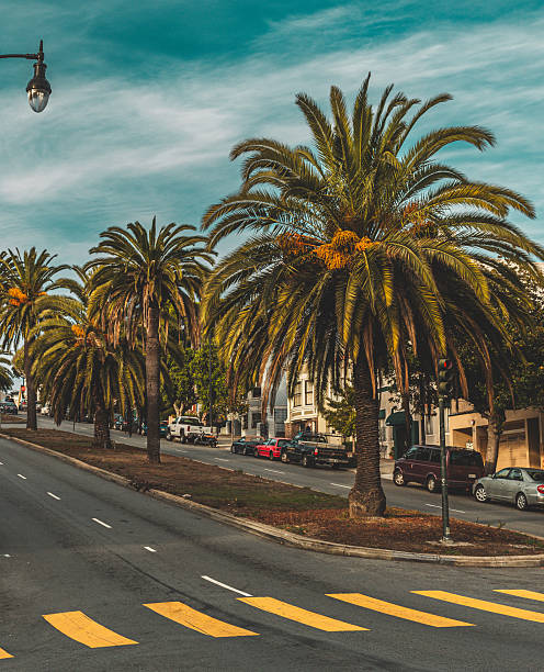 istock Dolores Street 2219543193