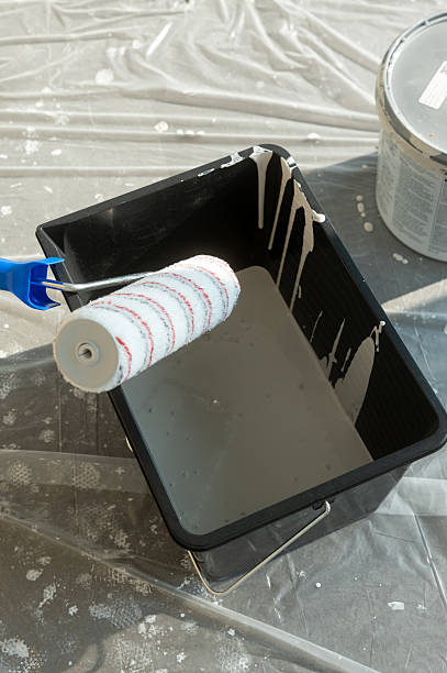 istock Paint roller dipping into tray with white paint for home renovation 2219545359