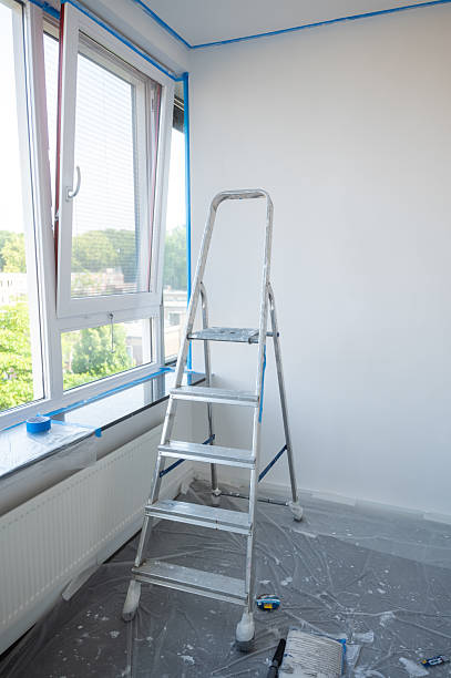 istock Painting a room white using a metal ladder 2219545391