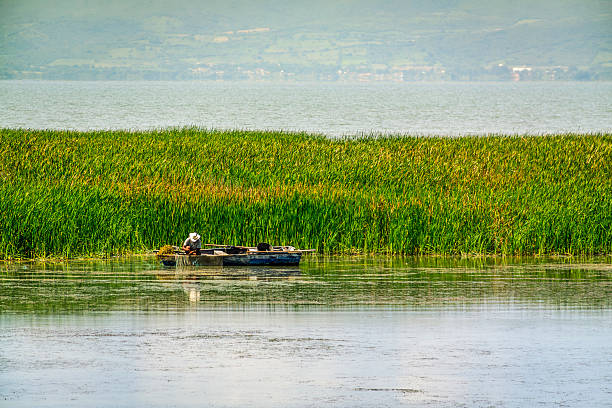 istock Fishing in Lake Chapala, Jalisco, Mexico. 2219546582