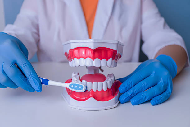 istock Dentist demonstrating brushing with dental model and blue gloves 2219549862