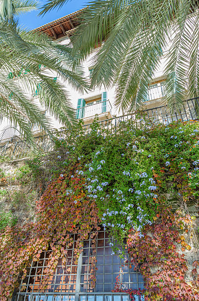 istock Architecture in Palma, Mallorca island, Spain 2219550983