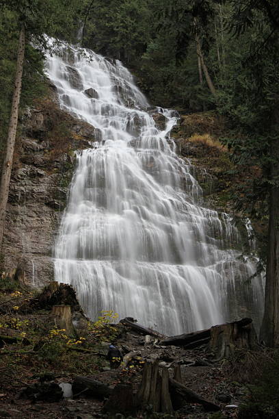 istock Bridal Veil Falls Surrounded by Lush Trees 2219553390