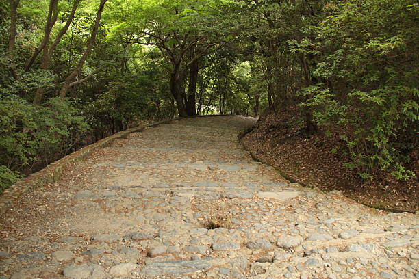 A beautifully manicured Japanese garden near Arashiyama blends refined landscaping with the natural atmosphere of a forest. Stone pathways wind through moss-covered grounds, under the shade of sculpted pines, maples, and bamboo groves. The garden offers a quiet retreat from the city, where visitors can experience harmony between human craftsmanship and the surrounding woodland. Gentle light filters through the trees, creating a serene and meditative space rich in seasonal beauty.