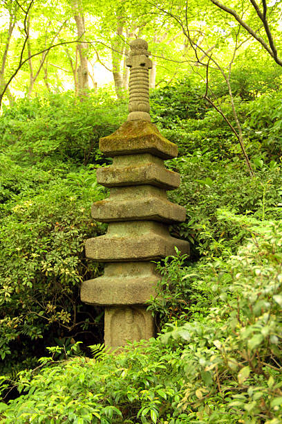 istock Lush Japanese Garden in Natural Setting 2219554525