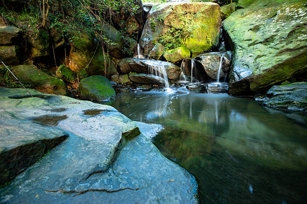 A picturesque waterfall tumbles gently over weathered sandstone, surrounded by dense green foliage in a vibrant forest setting. The scene captures the tranquility and natural beauty of a hidden woodland stream