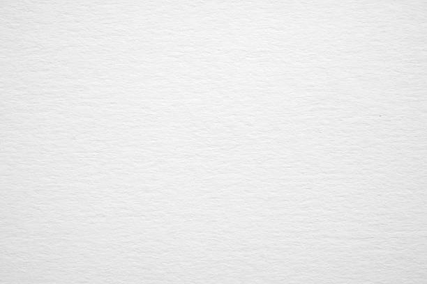 istock Abstract luxury vintage white paper texture background 2219556402