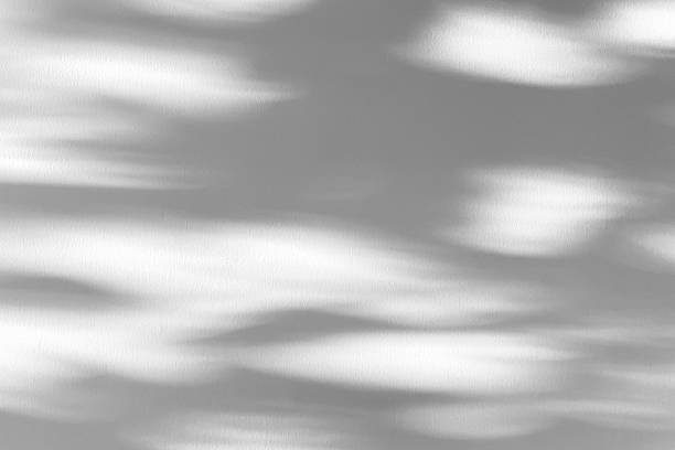 istock Abstract natural tree branch leaves shadow on white wall background 2219556699