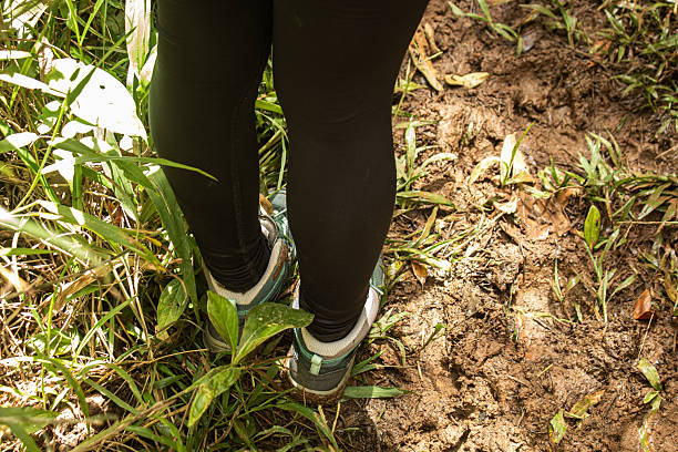 Adults hiking, walking, learning and living a life as calm and healthy as possible