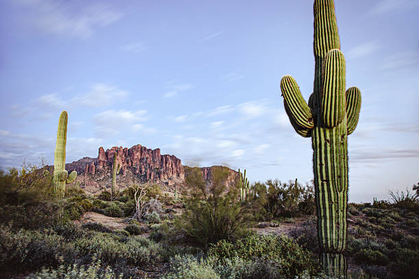 istock Superstition mountains framed in saguaro cactus 2219567167