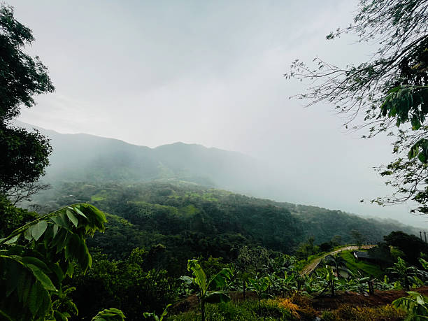 istock Misty rainy mountain landscape with lush green valley 2219567191