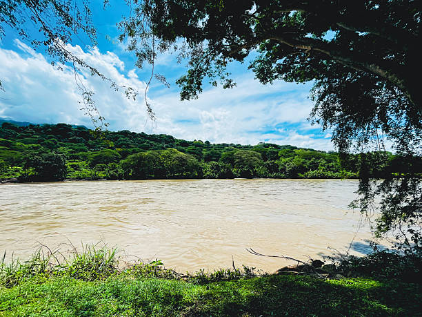 istock Cauca River winding through the jungle in Antioquia 2219567222